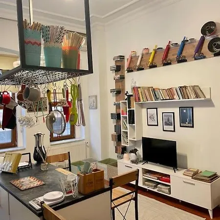 Redecorated Flat With The Island Kitchen 100 Mbps 伊斯坦布尔